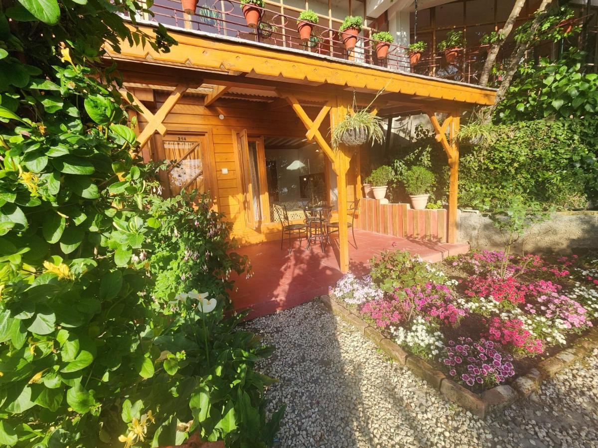 The Chalets Naldehra Shimla Exterior photo
